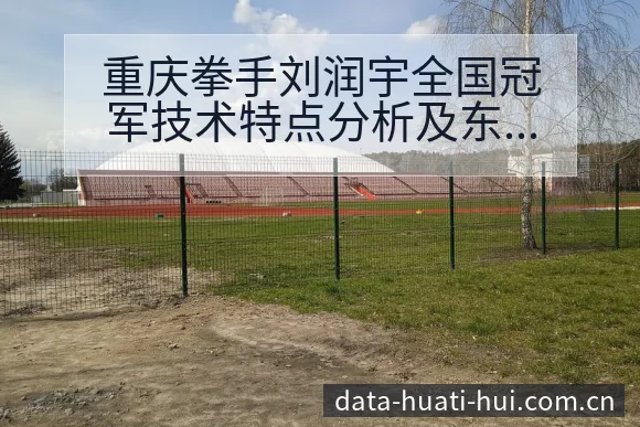 重庆拳手刘润宇全国冠军技术特点分析及东京赛场战术变化与风 - 华体会体育APP