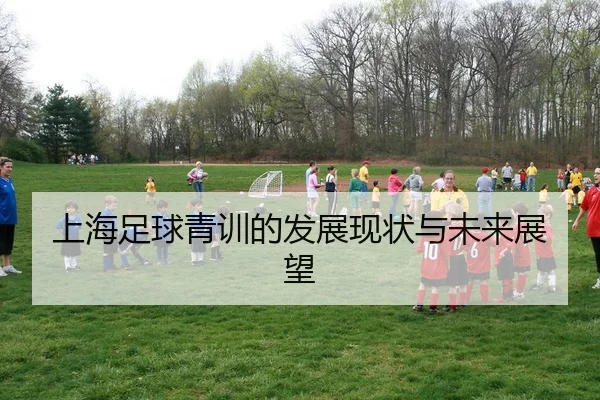 上海足球青训的发展现状与未来展望